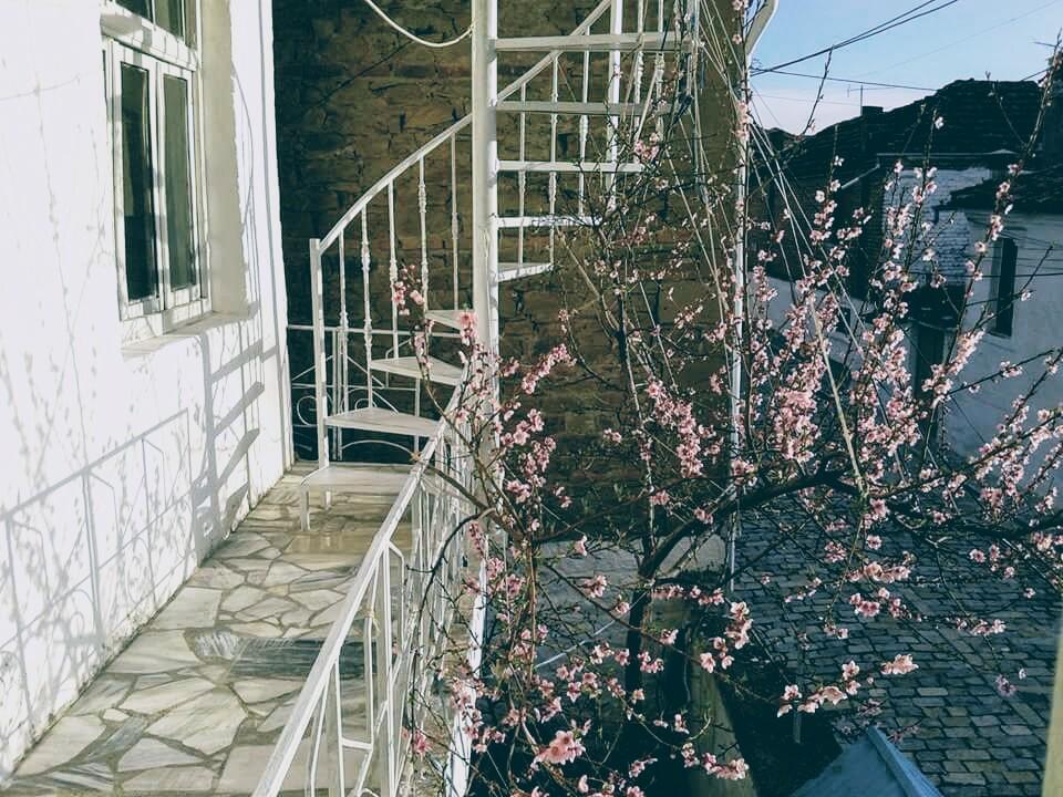 Small Room For Two In Private Villa Корча Экстерьер фото